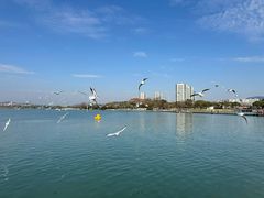 -蠡湖大桥公园