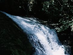 -鹿院坪生态旅游景区