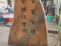 -南山植物园