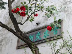 -留园
