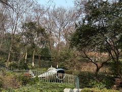 -伯先公园