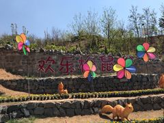 -欢乐松鼠谷