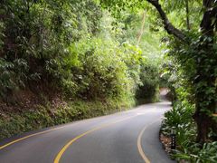 -西双版纳原始森林公园