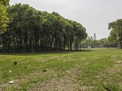 -新洲生态园