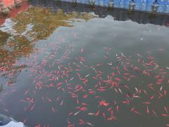 -北陵公园