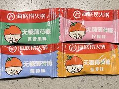 -海底捞火锅(金鼎广场店)