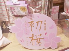 -九木杂物社(中心店)