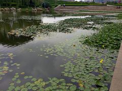 -丁家河公园
