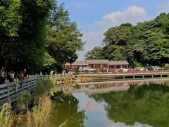 -广州市帽峰山景区