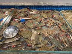 -一方渔歌蒸汽海鲜自助(文化路万达广场店)