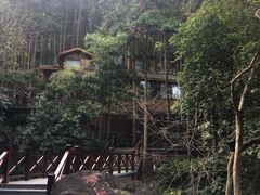 -天明山温泉大酒店