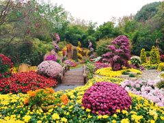 -杭州植物园
