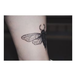点击看大图 -極致刺青TATTOO STUDIO 私人订制
