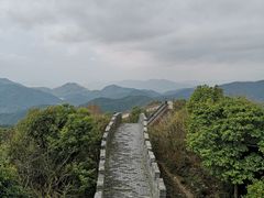 -黄贤森林公园