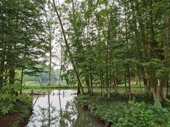 -桤木河湿地公园