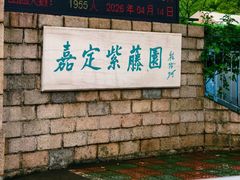 -嘉定紫藤园