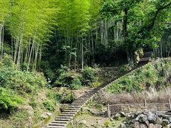 -林坑古村落