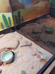 -酷嗒动物文化乐园(cutezoo西溪乐天城店)