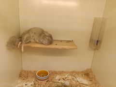 -龙猫仔乐园(惠福东路店)