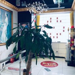 -沐染造型专业烫发染发