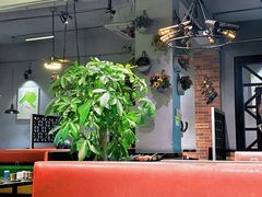 -七友美蛙鱼头火锅(坂田店)
