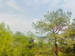 -大金山风景区