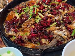 -老板恋上鱼(恒隆广场店)