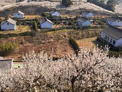 -原乡小镇度假乐园