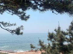 -青岛第三海水浴场