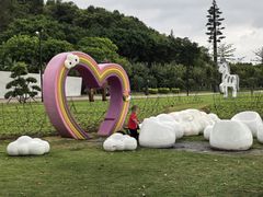 -野狸岛