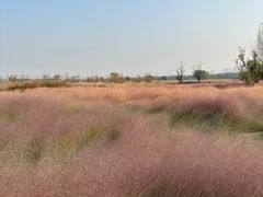 -汉长安城未央宫国家考古遗址公园