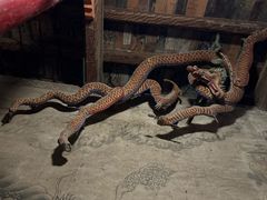 -张掖大佛寺景区