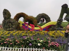 -荷兰花海