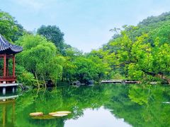 -云溪植物园