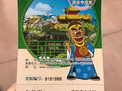 抢购的29.9的门票-济南方特东方神画