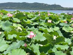-杭州浪浪浪水公园