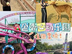 -盈香心动乐园