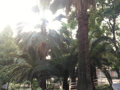 -苏州河梦清园环保主题公园