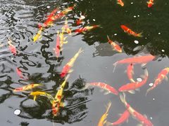 -海澄轩海鲜酒家(虎门店)
