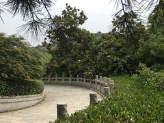 -白马涧龙池景区
