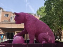 -西安电影制片厂