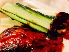 -守柴炉烤鸭(科华中路王府井店)