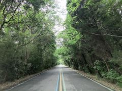 -盐城丹顶鹤湿地生态旅游区