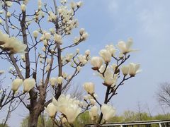 -西安浐灞国家湿地公园