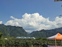 -沣峪口