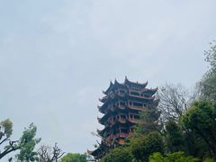-黄鹤楼公园(黄鹤楼)