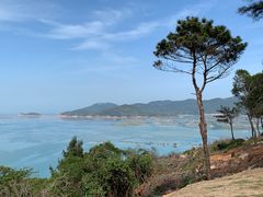 -南澳岛打卡果汁冰公司