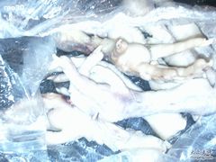 -清真·王家桶子鸡