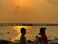 -宝安西湾红树林湿地公园