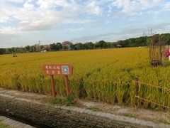 -广富林郊野公园